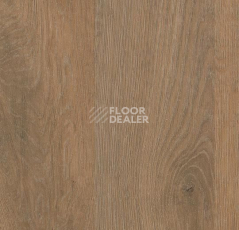 Линолеум Forbo SureStep Decibel 71897/718972 rustic oak фото 1 | FLOORDEALER